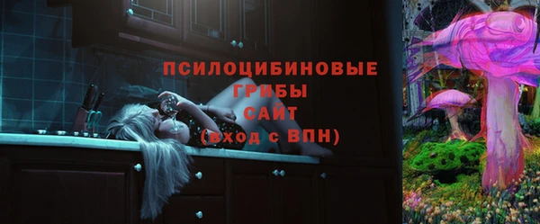 2c-b Богородск
