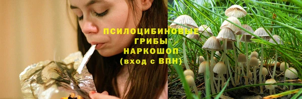 соль курить ск Богданович