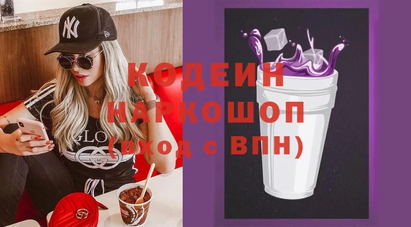 молекула духа Протвино
