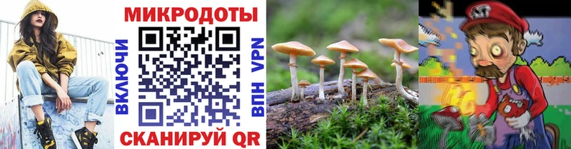 Галлюциногенные грибы Magic Shrooms  наркотики  Мостовской 